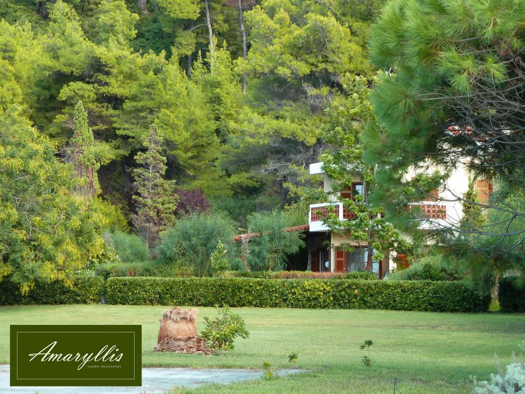 Amaryllis Summer Maisonettes Possidi Oda fotoğraf